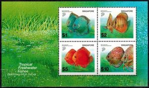 Tropical freshwater fishes