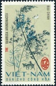 Bamboo (Bambusa arundinaceu)