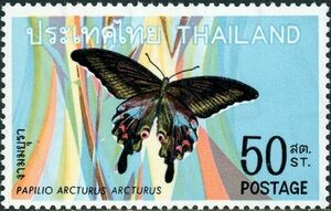 Blue Peacock (Papilio arcturus)