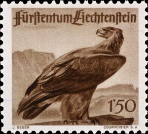 Golden Eagle (Aquila chrysaetos)