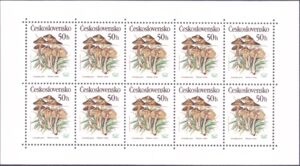 Nolanea verna - Zvonovka jarnĂ