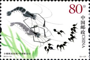 Tadpoles and Grandpa Shrimp