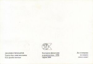 Turkish Javelin Sandboa (Eryx jaculus turcicus)