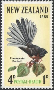 New Zealand Fantail (Rhipidura fuliginosa)