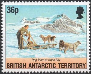 Dog Team at Hope Bay