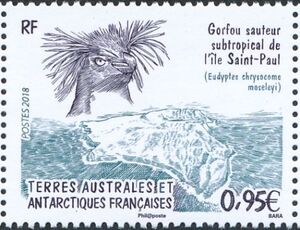 Rockhopper Penguins (Eudyptes moseleyi)