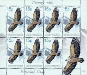 Eurasian Griffon (Gyps fulvus)