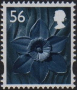 Wales - Daffodil