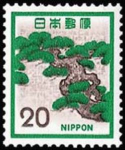 Japanese Pine Tree