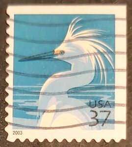 Snowy Egret (Egretta thula)