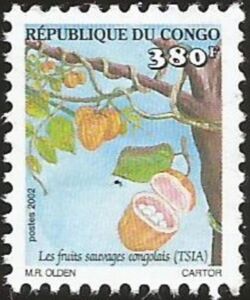 Tsia, Landolphia jumelei