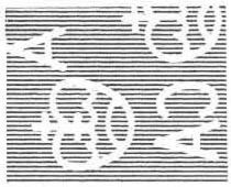 Sultan Hassanal Bolkiah