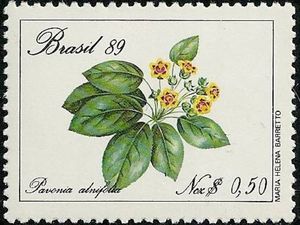 Brazilian Flora Protection - Pavonia alnifolia