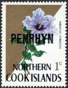 Rose of Sharon (Hibiscus syriacus)