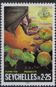 Seychelles Flying Fox (Pteropus seychellensis)