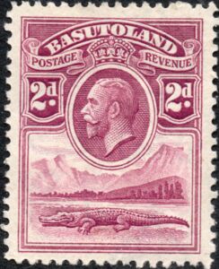 Nile Crocodile (Crocodylus niloticus) and River Scene