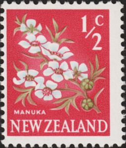 Manuka (Leptospermum scoparium)