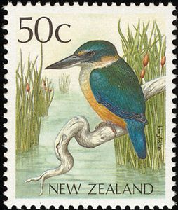 Sacred Kingfisher (Todiramphus sanctus)