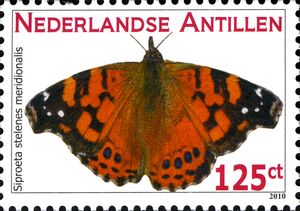 Malachite (Siproeta stelenes meridionalis), see description