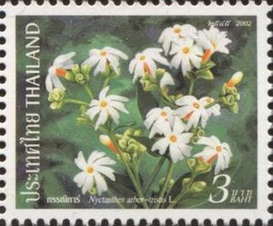 Nyctanthes arbor-tristis