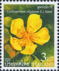 Cochlospermum religiosum