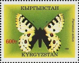 Swallowtail (Parnassius actius)