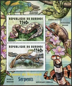 Snakes of Burundi