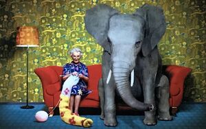 Elephant and Grandma