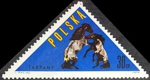 Tarpan (Equus ferus ferus)