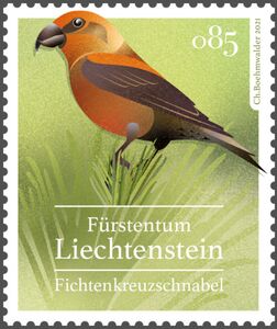 Common Crossbill (Loxia curvirostra)