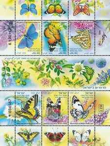 Butterflies in Israel