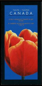 Tulips Booklet