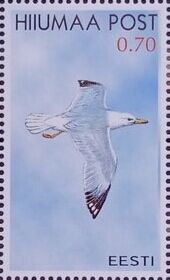 Hiumaa Post. Seabirds