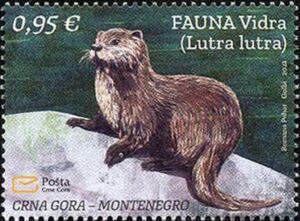 Eurasian Otter (Lutra lutra)