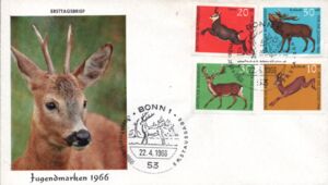 Deer