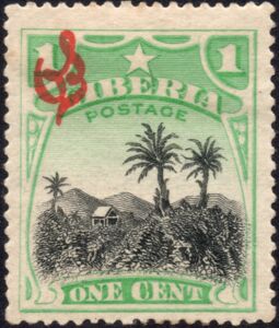 Coffee plantation (Coffea arabica)