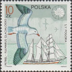 Southern Fulmar (Fulmarus glacialoides) and "Pogoria"