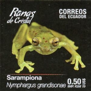 Giant Glass Frog (Nymphargus grandisonae)