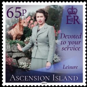 Devoted to your Service : Leisure