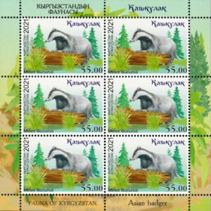 Asian Badger (Meles leucurus)