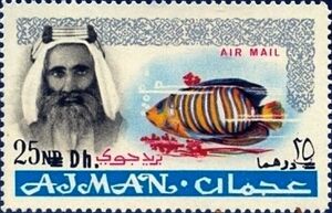 Sheik Rashid and Royal Angelfish (Pygoplites diacanthus)