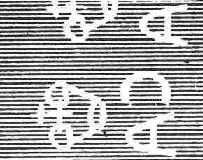 Elephant & Fur Seal - surcharged