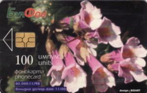 Haberlea Rhodopensis