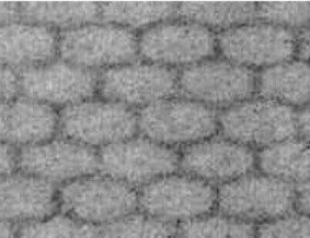 Dienstmarke overprints