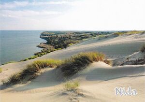 Nida. Death Dunes. Nagliai Nature Reserve