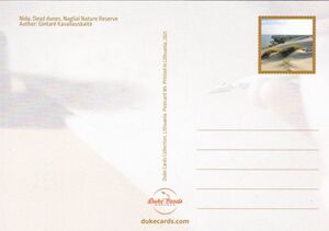 Nida. Death Dunes. Nagliai Nature Reserve