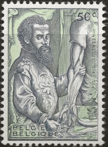 Andreas Vesalius (1514-1564) with Model of Human Arm
