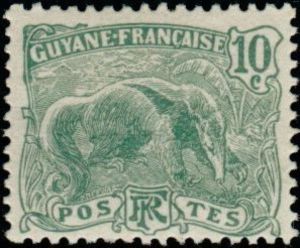 Giant Anteater (Myrmecophaga tridactyla)