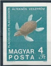 Fossilized Turtle (Placochelys placodonta) from Veszprém