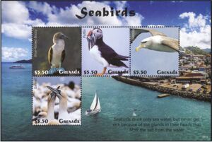 Seabirds